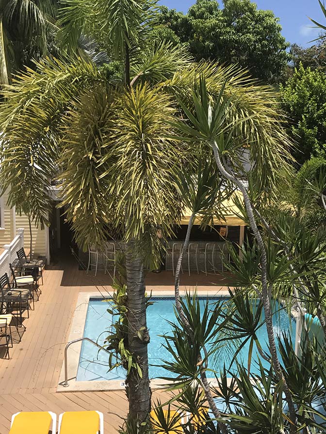 Pool view from an upper level room